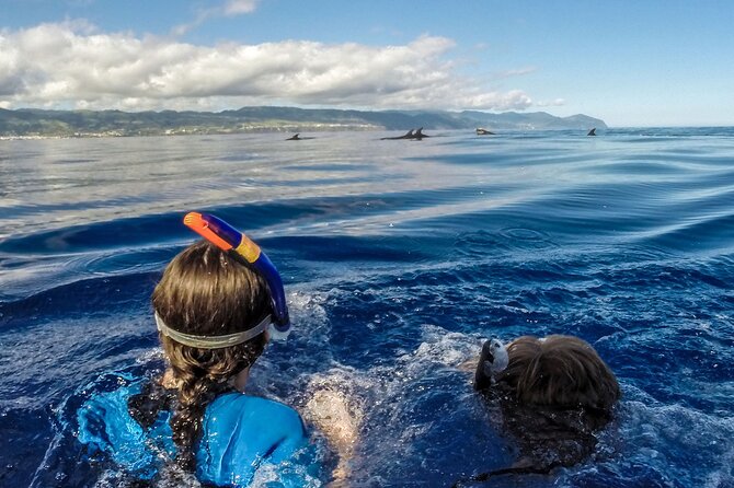 Azores Swim With Dolphins Atlantic Experience - Language Accommodation