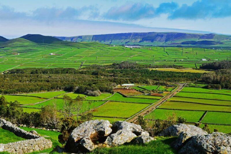 Azores: Terceira Island Full-Day Tour - Language and Accessibility