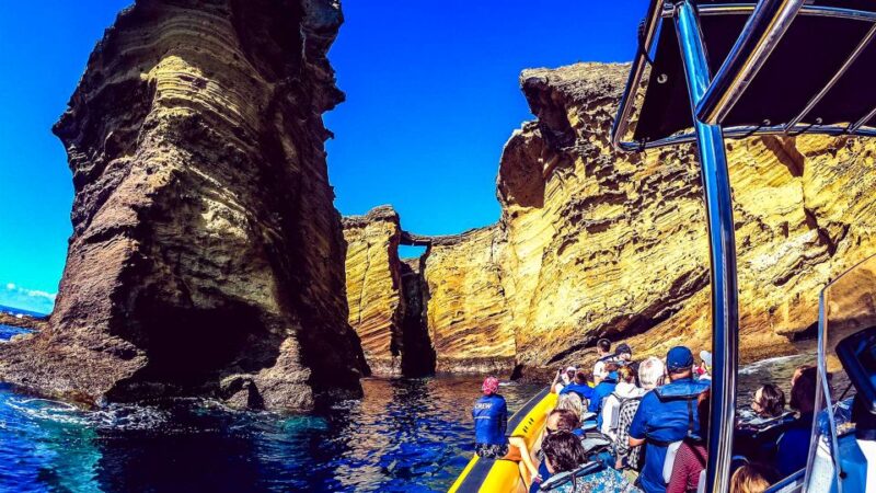 Azores: Whale Watching and Islet Boat Tour - Customer Reviews and Ratings