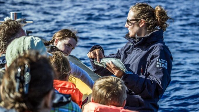 Azores: Whale Watching and Islet Boat Tour - Booking and Cancellation Policy