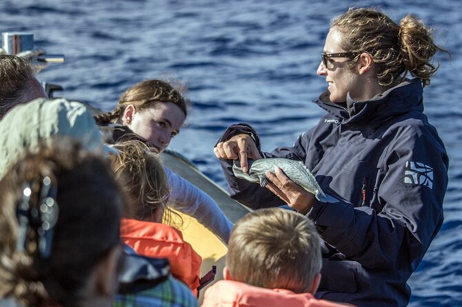 Azores Whale Watching & Islet Boat Tour - Meeting and Pickup
