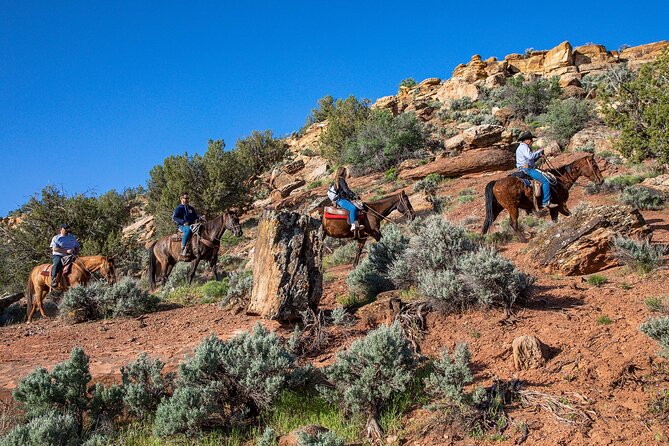 Aztec Trail Horseback Ride - Cancellation and Refund Policy