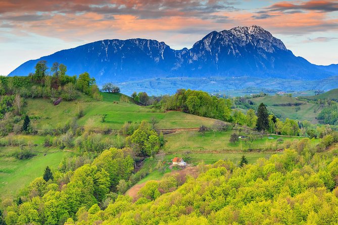 Azuga Wine Tasting on a Day Trip From Brasov - Key Points