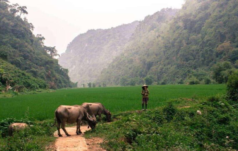 Ba Be - Ban Gioc Tour 3 Days 2 Nights: a Natural Escape - Day 3 Itinerary