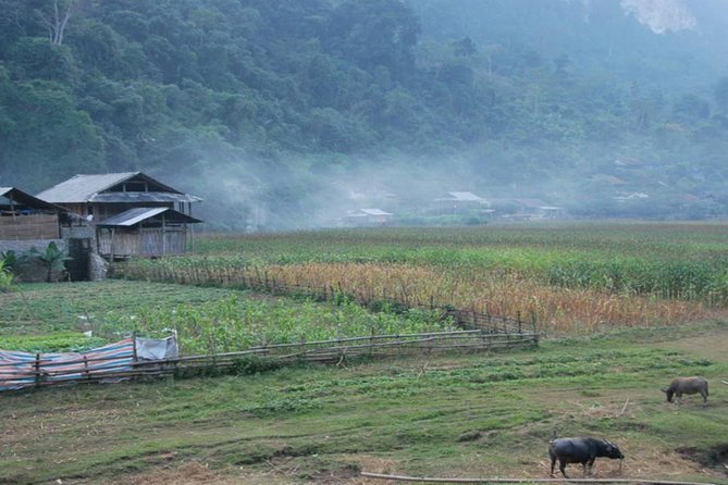 Ba Be Remote Regions Trekking 5 Days - Highlights of the Trekking Experience