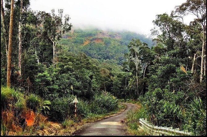 Ba Ho Waterfalls ( Trekking + Swimming + Jumping +Amazing Nature) - Inclusions and Lunch Options