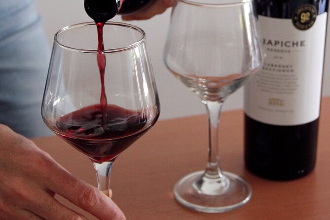 BA: Premium Argentinian Wines and Malbec Tasting in Palermo - Key Points