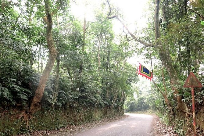 Ba Vi National Park Private Tour: Sightseeings & Jungle Hikking - Hiking to Bavi Church Ruins