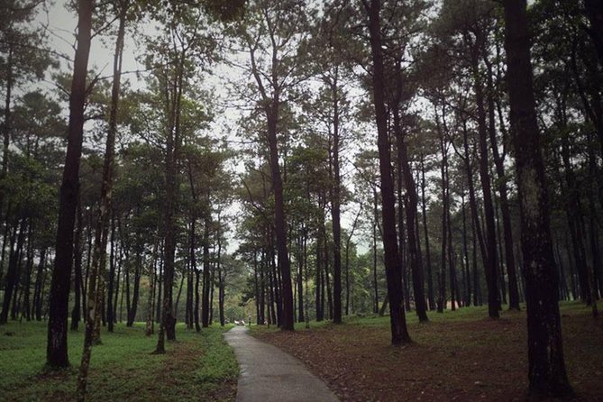 Ba Vi National Park Private Tour: Sightseeings & Jungle Hikking - Thuong Temple Visit