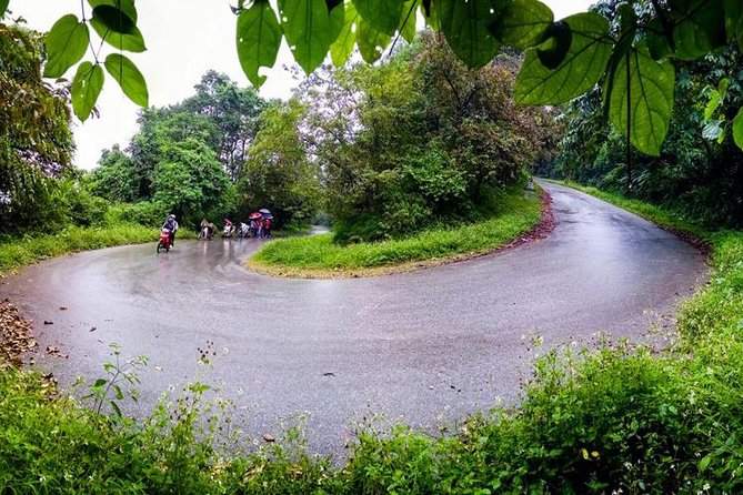 Ba Vi National Park Private Tour: Sightseeings & Jungle Hikking - Tan Vien Peak Fog Experience