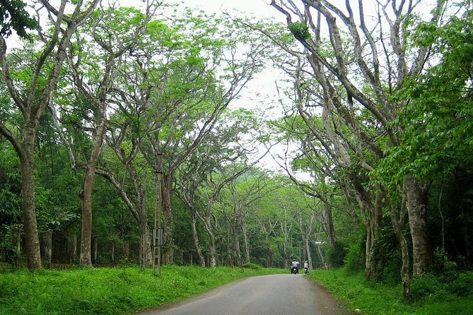 Ba Vi National Park Private Tour: Sightseeings & Jungle Hikking - Inclusions and Additional Information