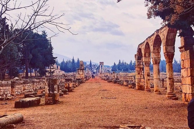 Baalback , Anjar & Chateau Ksara - Ratings and Reviews