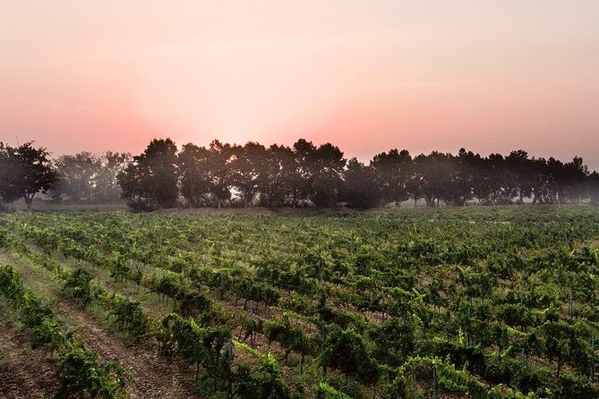 Baalback , Anjar & Chateau Ksara - Additional Information