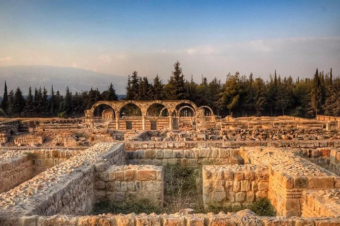 Baalbek, Anjar & Wine: A Journey Through Lebanons Heritage - Indulging in Lebanese Winemaking