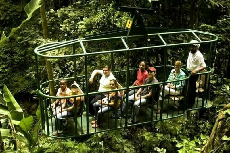 Babonneau/Castries: Rainforest Zip Line, Tram, and Hike Tour - Who Will Enjoy This Tour?