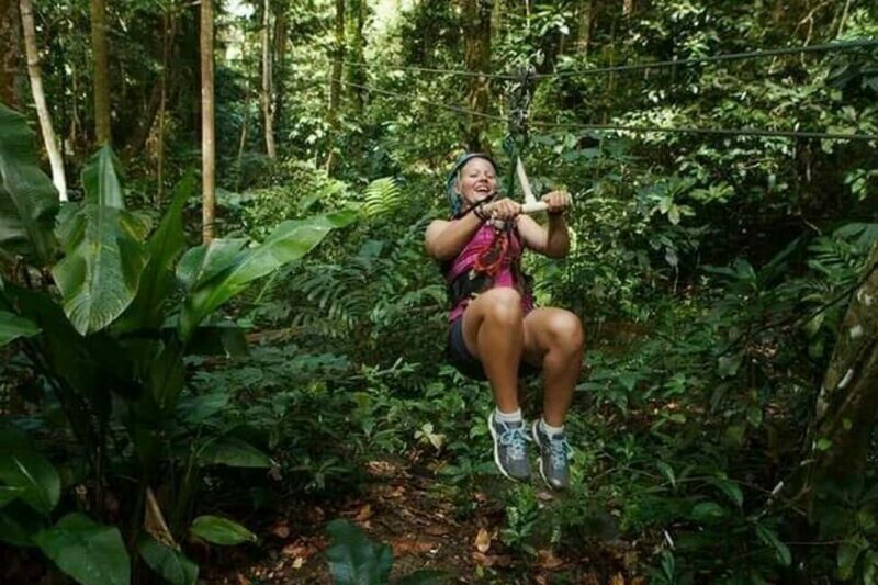 Babonneau/Castries: Rainforest Zip Line, Tram, and Hike Tour - FAQ
