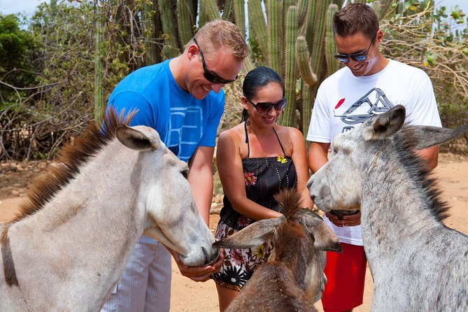 Baby Beach Off-Road Safari - Booking Information and Policies