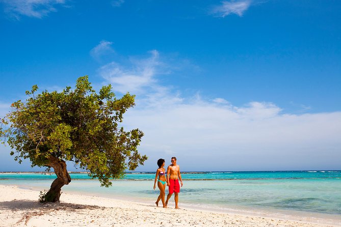 Baby Beach Off-Road Safari - Suitability and Accessibility