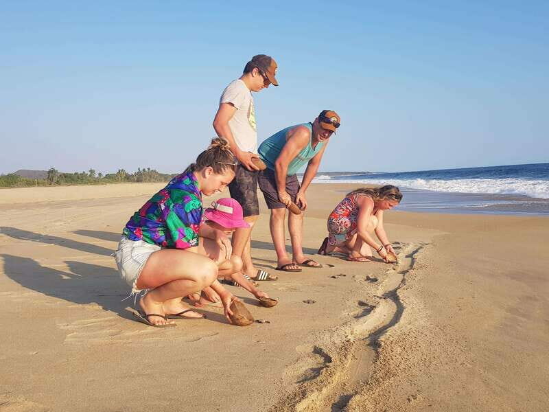 Baby Sea turtles release in Puerto Escondido - A Closer Look at the Itinerary