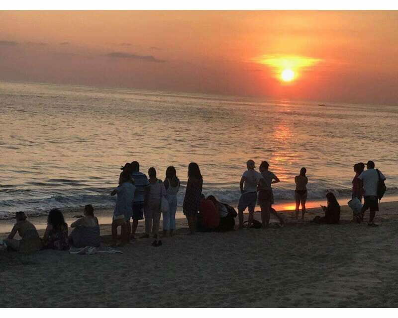 Baby Sea turtles release in Puerto Escondido - Authentic Stories from Reviewers