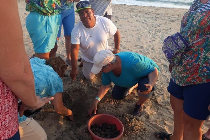 Baby Turtle Release in Coyote Escobilla Beach - Inclusions