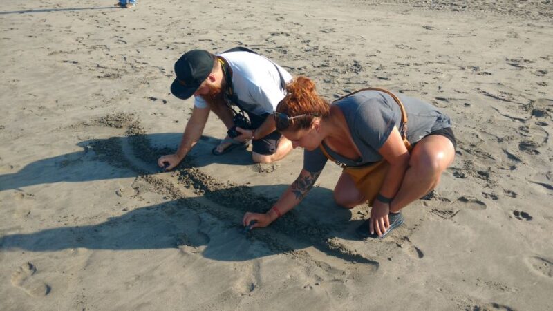 .Baby Turtle Release, Lagoon Boat Ride, and Crocodile Farm - Transportation and Accessibility