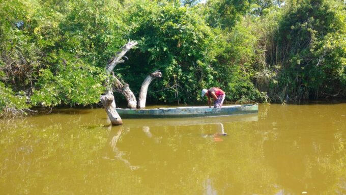 .Baby Turtle Release, Lagoon Boat Ride, and Crocodile Farm - Customer Feedback
