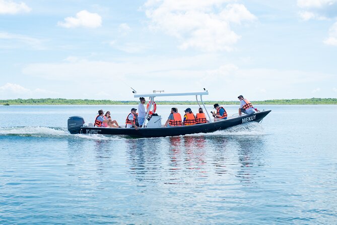 Bacalar Boat Tour and Visit to Cenotes - Transportation and Safety