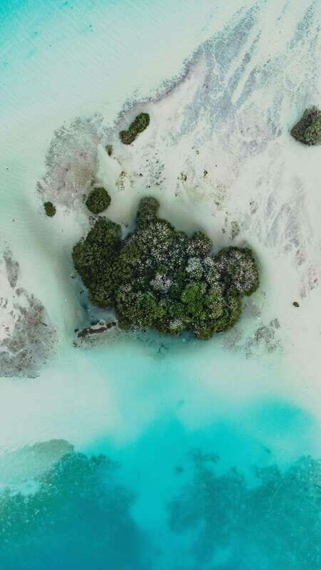 Bacalar & Cenotes: 3 hours kayak rental with snorkeling gear - Discovering Bacalar’s Lagoon at Your Own Pace