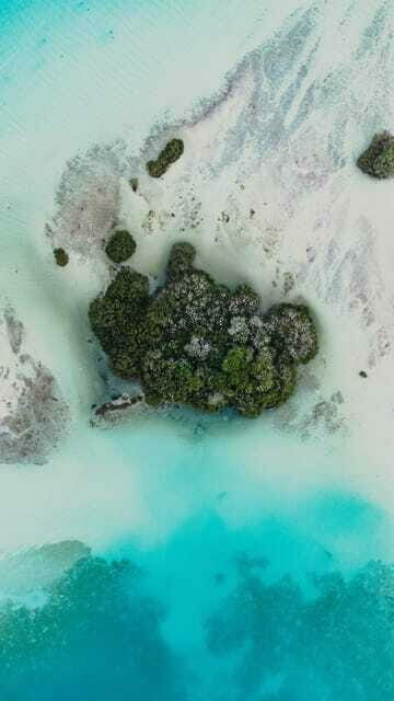Bacalar & Cenotes: 3 hours kayak rental with snorkeling gear - FAQs