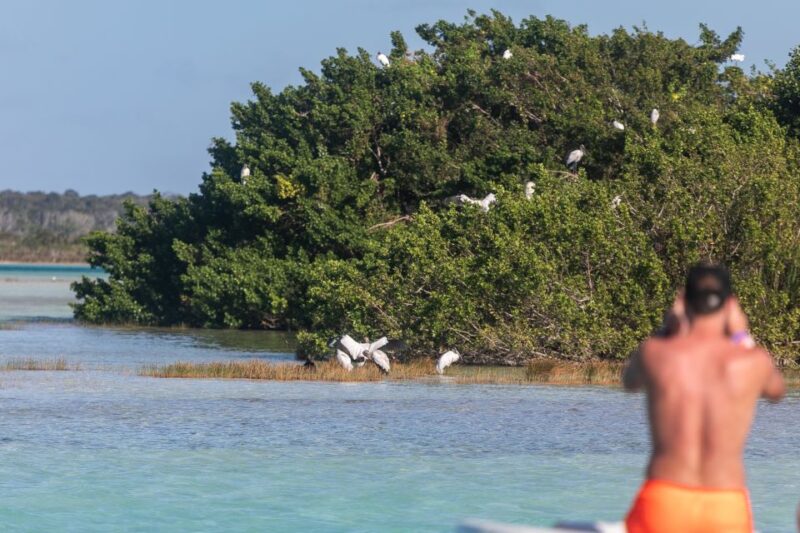 Bacalar: Full Day Kayak Rental in the Lagoon of Seven Colors - Experience Highlights