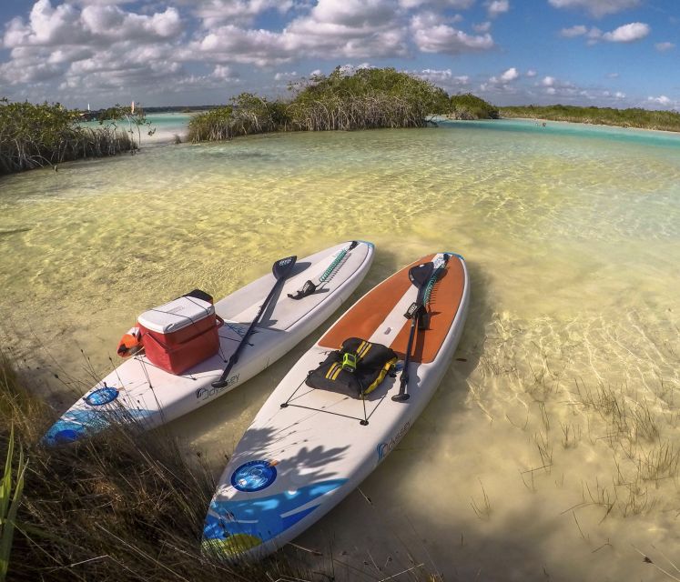 Bacalar: Full-Day Paddleboard Rental - Paddleboard Rental Inclusions