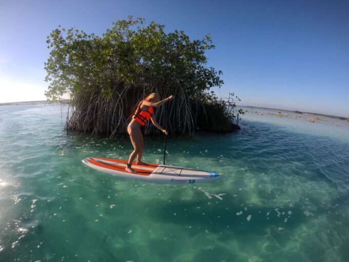 Bacalar: Full-Day Paddleboard Rental - Frequently Asked Questions