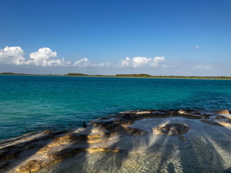 Bacalar Lagoon Open Water Swimming Experiences - Swimming Conditions and Safety