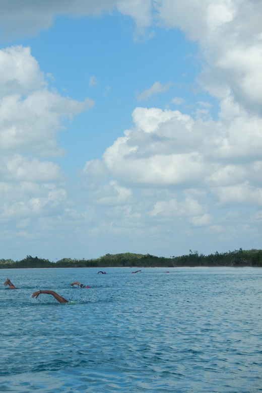 Bacalar Lagoon Open Water Swimming Experiences - Restrictions and Requirements