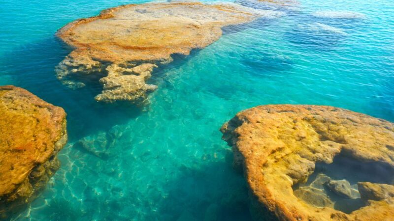 Bacalar: Lagoon, Pirate Canal, Stromatolite Day Trip W/Lunch - Participant Information and Restrictions