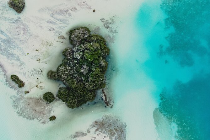 Bacalar Lagoon Sightseeing Boat Tour With Open Bar and Snacks - Visit the Cenote Esmerelda