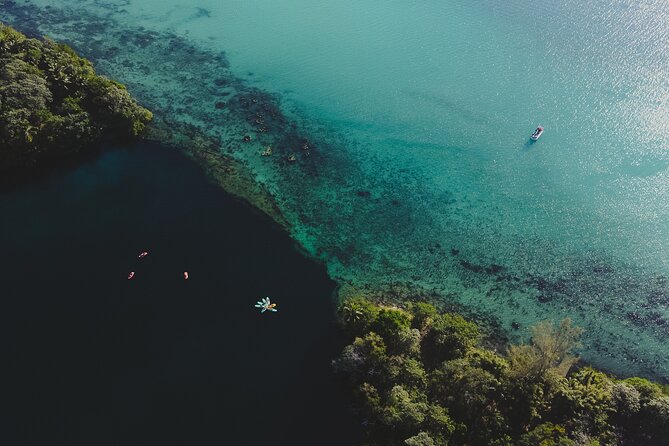 Bacalar Lagoon Sightseeing Boat Tour With Open Bar and Snacks - Tour Details and Logistics