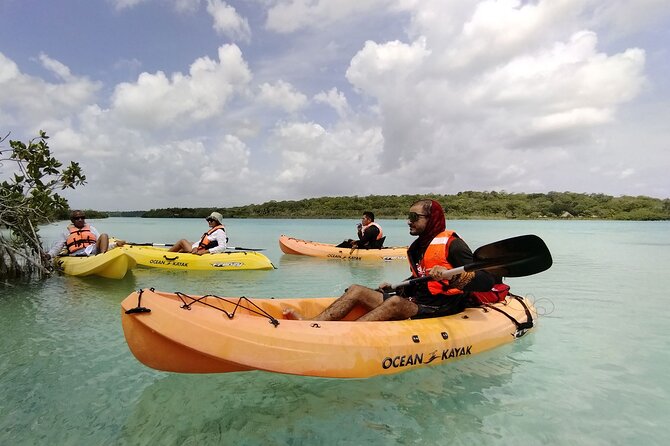 Bacalar Lagoon Tour! Kayak & Cenote Azul + Round Transportation From Cancun - Tips for an Amazing Experience