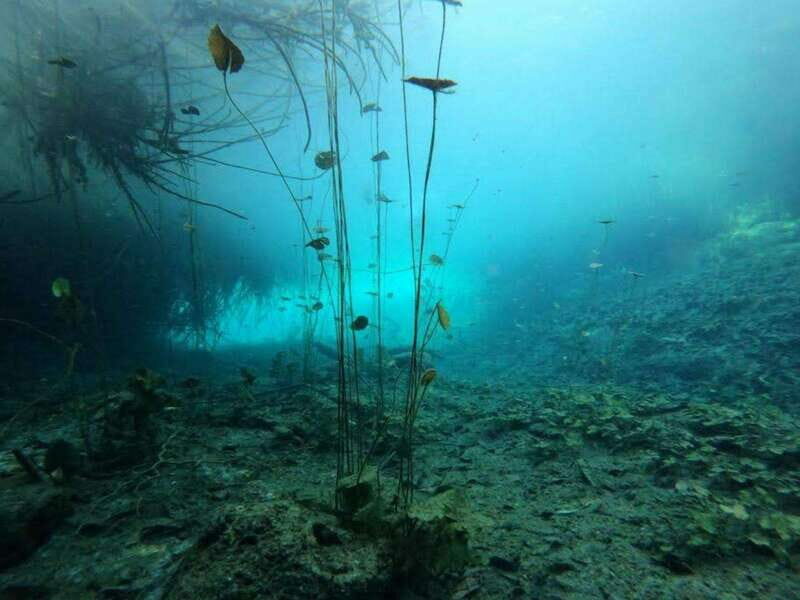 Bacalar: Magnificent Bacalar Lagoon Exclusive Boat Tour - Frequently Asked Questions