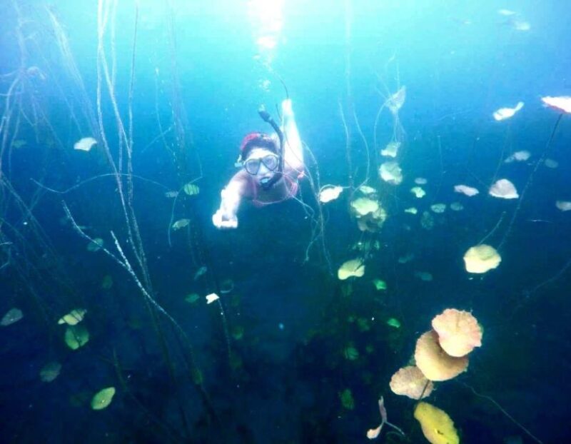 Bacalar: Magnificent Bacalar Lagoon Exclusive Boat Tour - Exploration of Cenotes and Islands