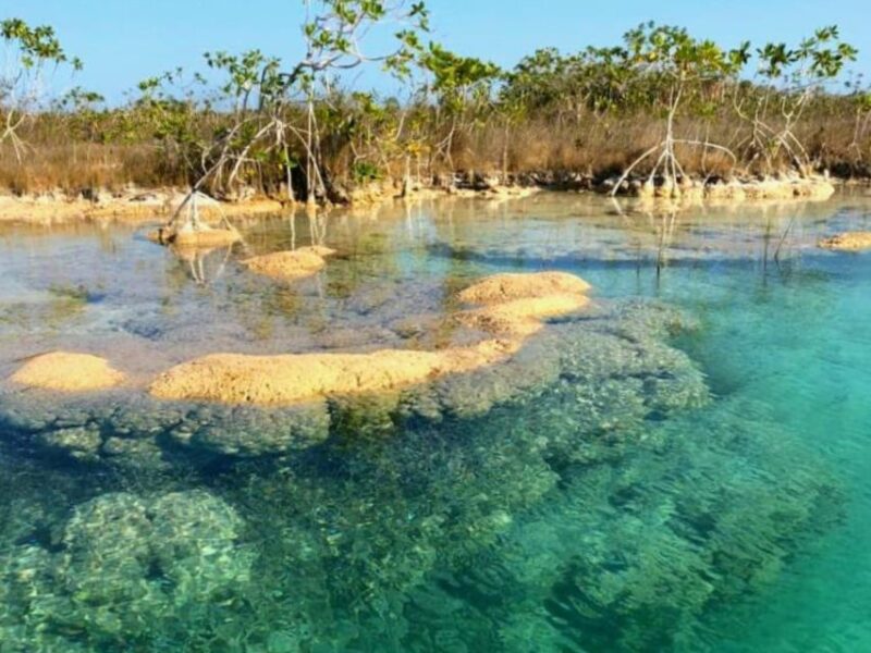 Bacalar: Magnificent Bacalar Lagoon Exclusive Boat Tour - Navigating Channels and Rivers