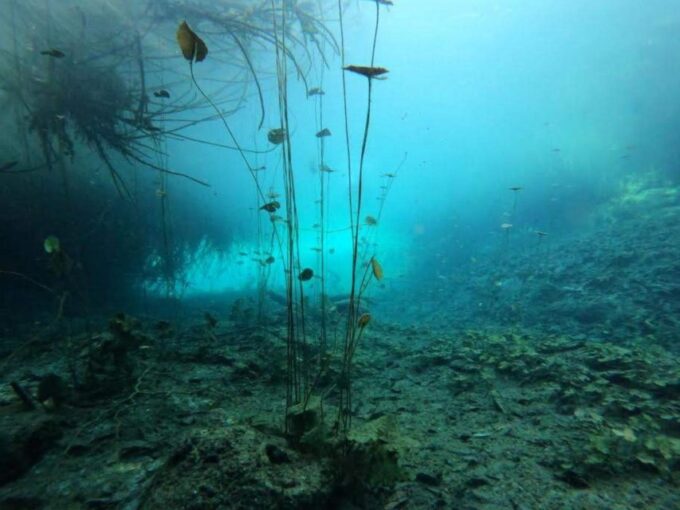 Bacalar: Magnificent Bacalar Lagoon Exclusive Boat Tour - Included Tour Amenities and Gear