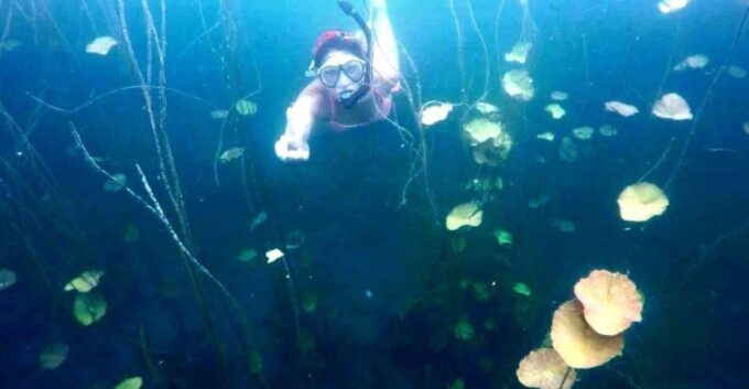 Bacalar: Magnificent Bacalar Lagoon Exclusive Boat Tour - Meeting Point and Availability