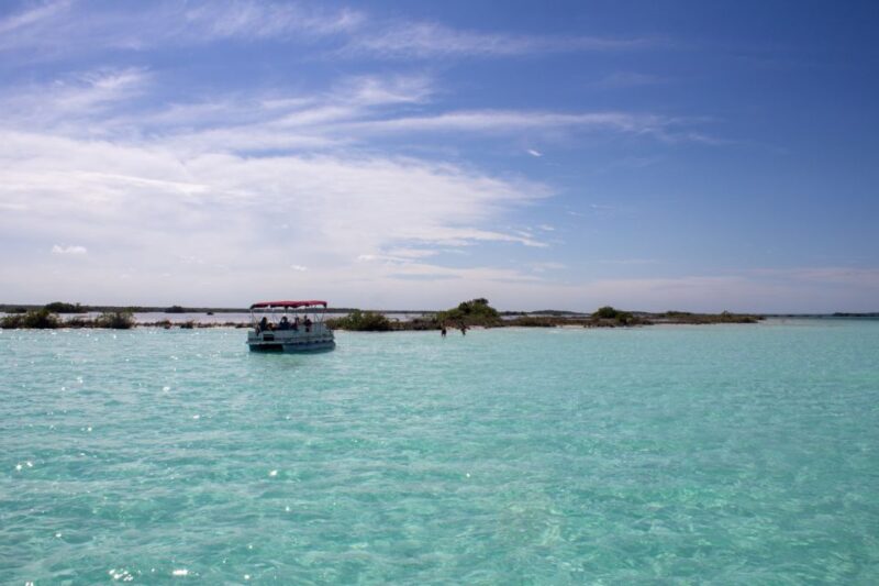 Bacalar: Pontoon Boat Tour on Bacalar Lagoon - Booking Process