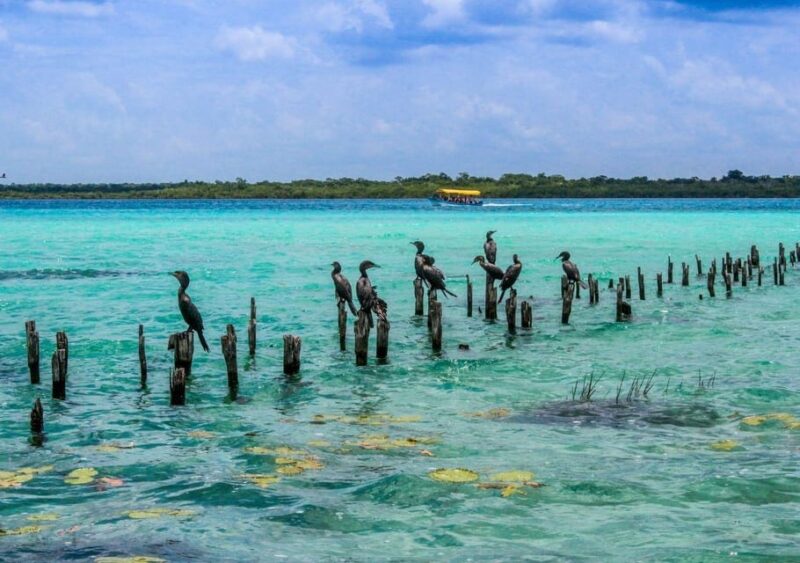 Bacalar: Pontoon Ride, Blue Cenote, Lunch, and Transportation - Transportation and Pickup Details