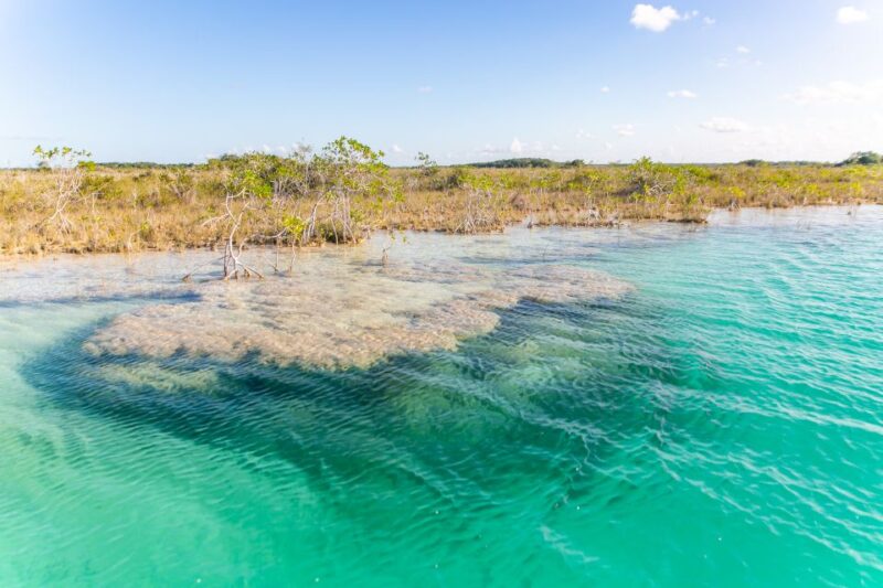 Bacalar: Private Sailboat Tour With Lagoon Swimming - Essential Information