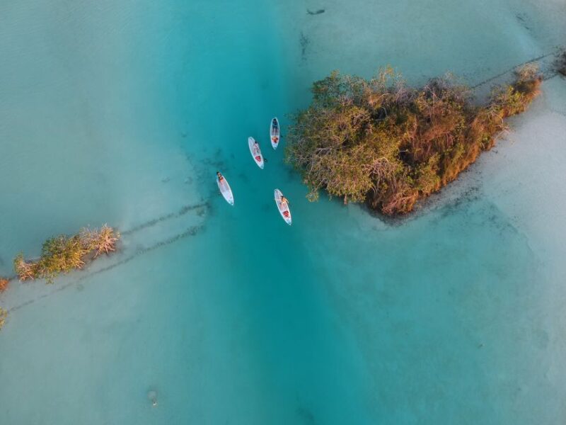 Bacalar: Private SUP Tour - Experience Highlights