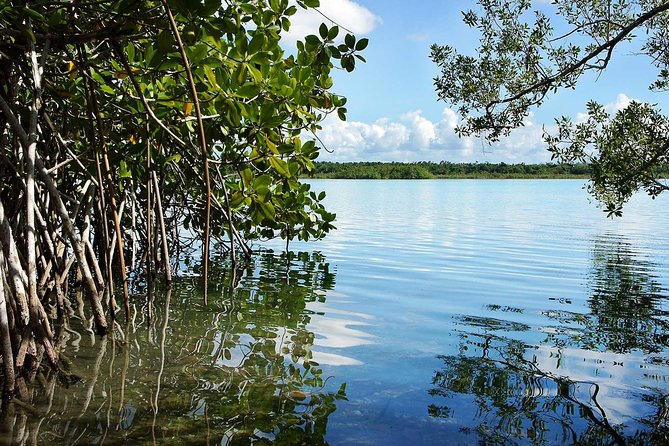 Bacalar Seven Color Lagoon and Kayak Adventure From Costa Maya - Guest Feedback and Reviews