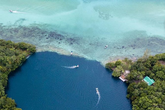 Bacalar Seven Color Lagoon Boat Adventure With Grill Option - Customer Feedback and Host Response